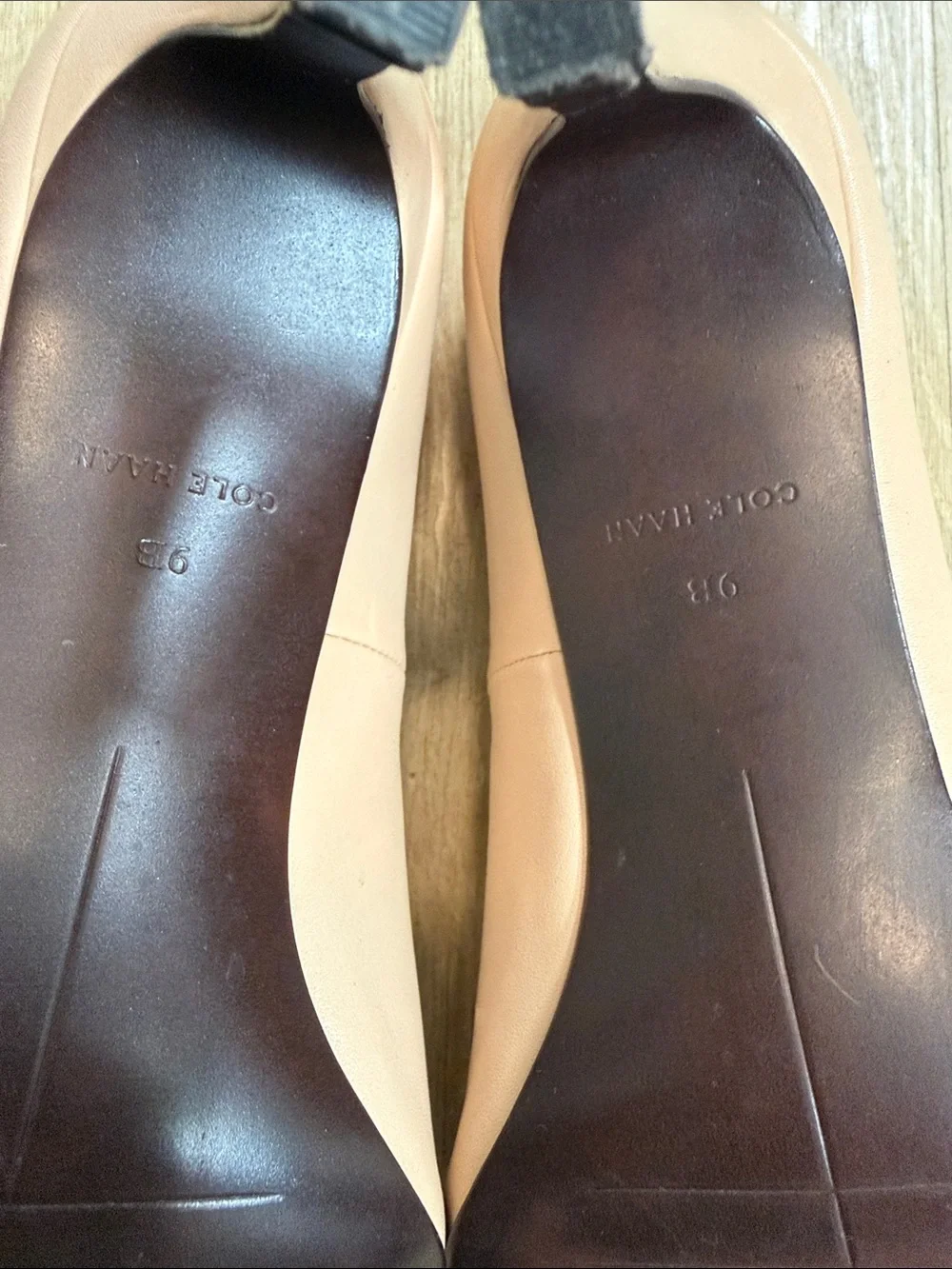 Cole Haan Blush Nude Pointed-Toe Leather Pumps size 9B